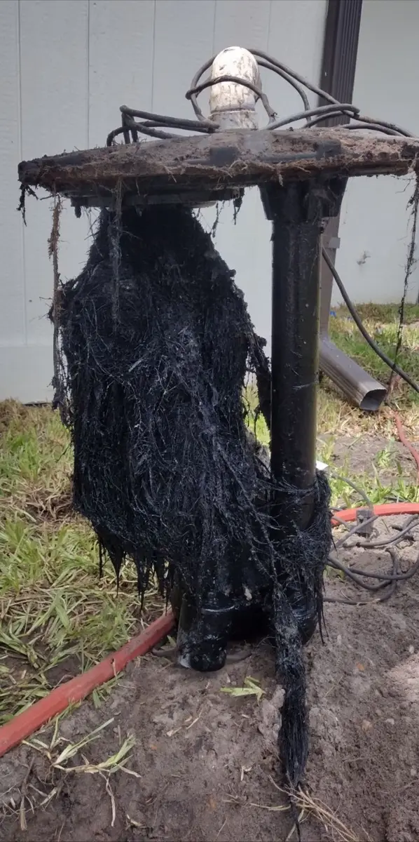 Root in pump
